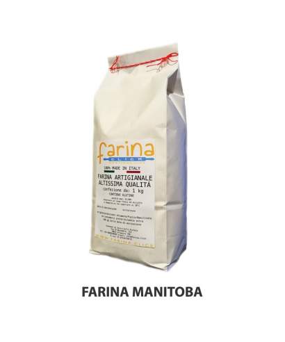 Farina di grano tenero Manitoba